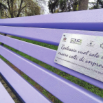 Immagine panchina viola di Alessandria